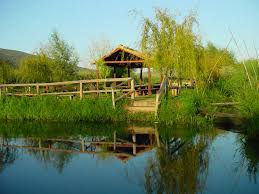 Baćina lakes